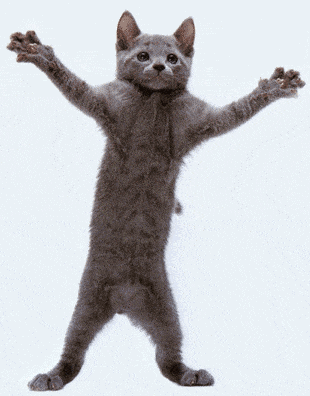 happy-cat-dancing